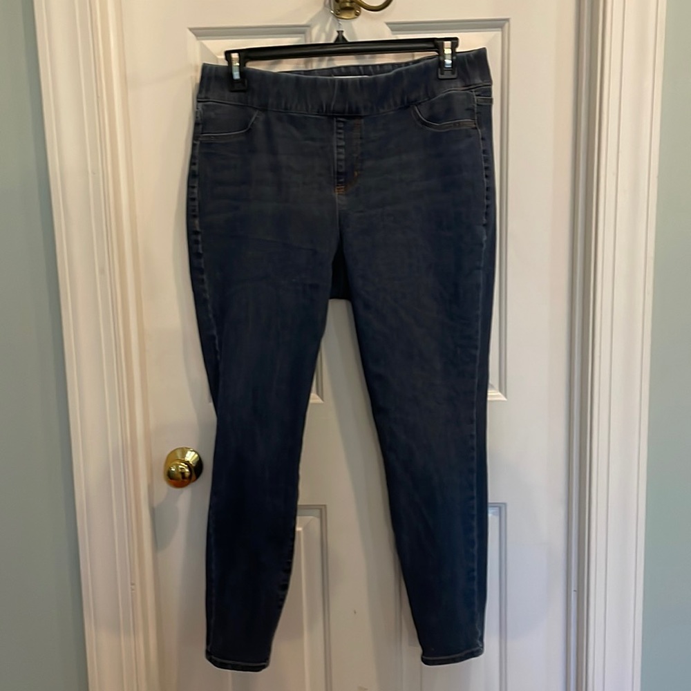 Lane Bryant Jeggings